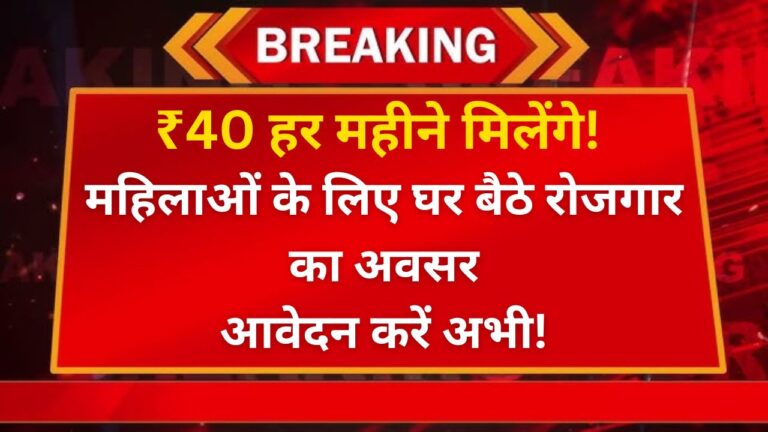 मुख्यमंत्री वर्क फ्रॉम होम योजना: महिलाओं के लिए घर बैठे रोजगार का अवसर 6 मुख्यमंत्री वर्क फ्रॉम होम योजना