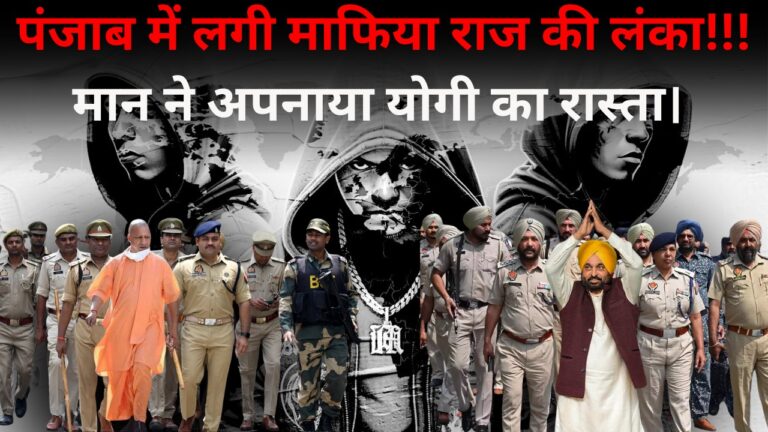 WhatsApp Image 2025 03 03 at 12.49.55 PM
