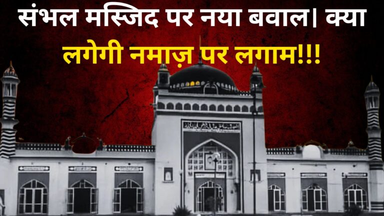 WhatsApp Image 2025 03 05 at 4.41.22 PM
